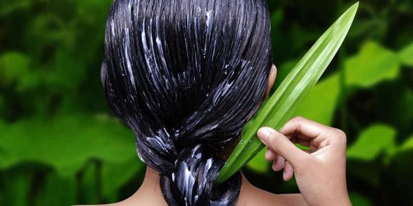 Домашние маски для укрепления волос - эффективные рецепты