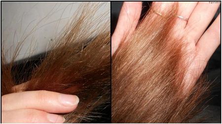 Как вылечить сухие кончики волос в домашних условиях. Как ухаживать за сухими волосами: народные средства, маски для волос