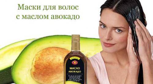 масло авокадо для волос